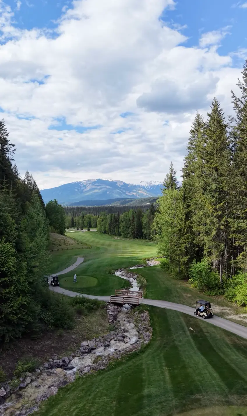 Golf reel